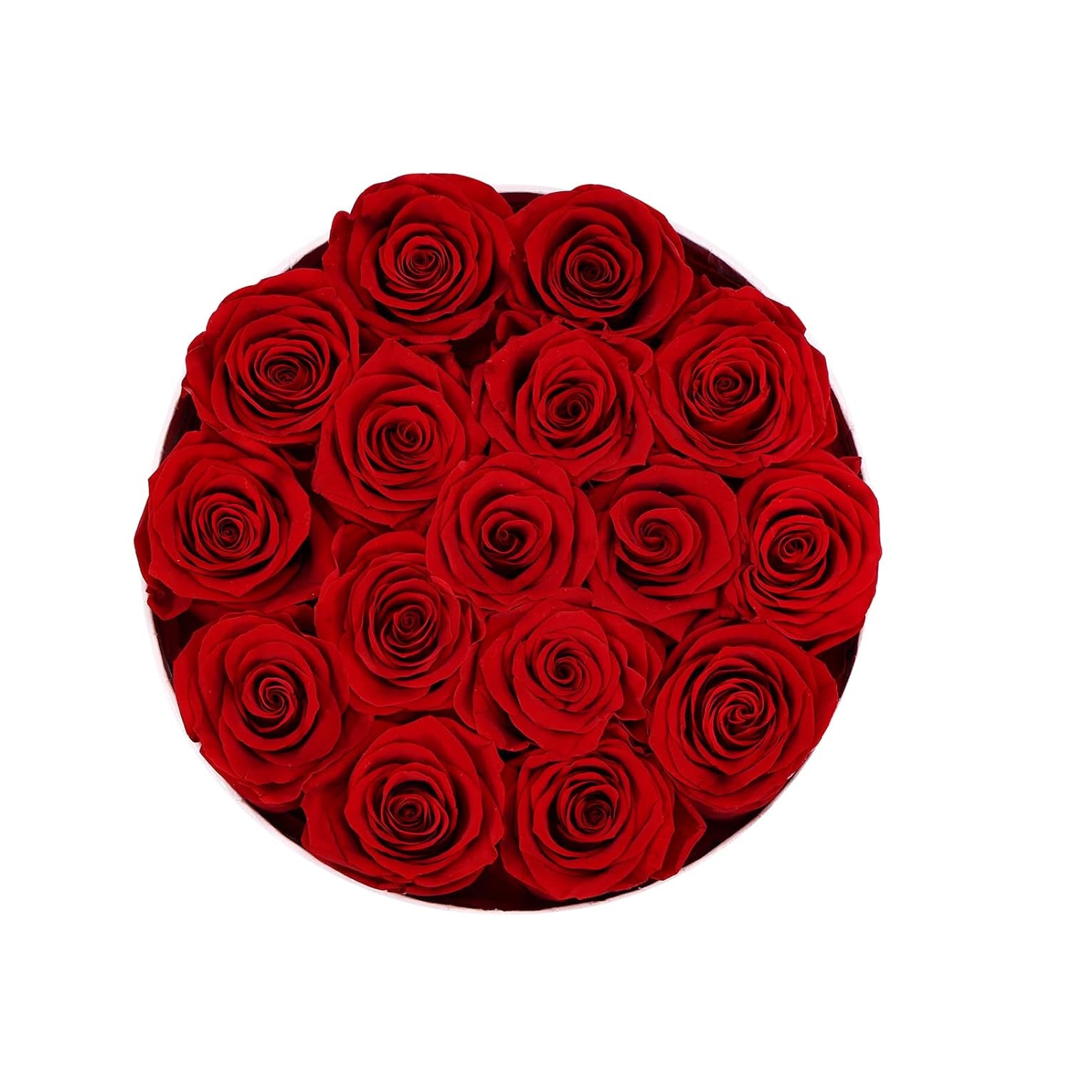 16-Piece Preserved Forever Rose Flowers (Valentines Day, Birthday)