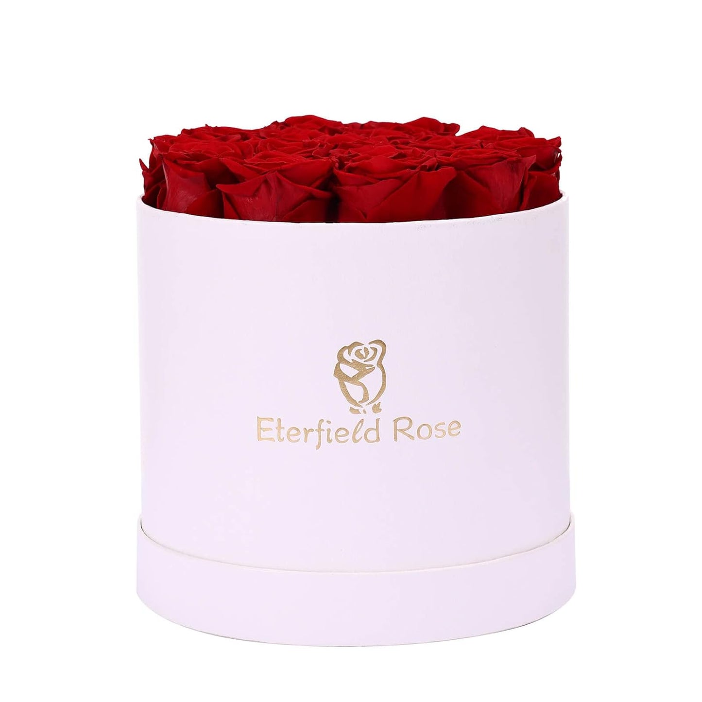 16-Piece Preserved Forever Rose Flowers (Valentines Day, Birthday)