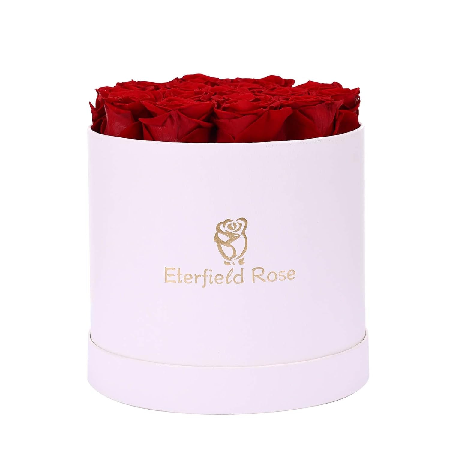 16-Piece Preserved Forever Rose Flowers (Valentines Day, Birthday)