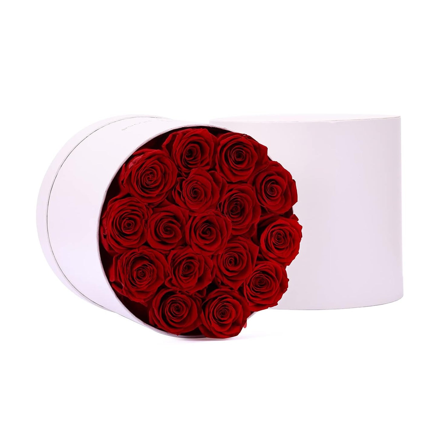 16-Piece Preserved Forever Rose Flowers (Valentines Day, Birthday)