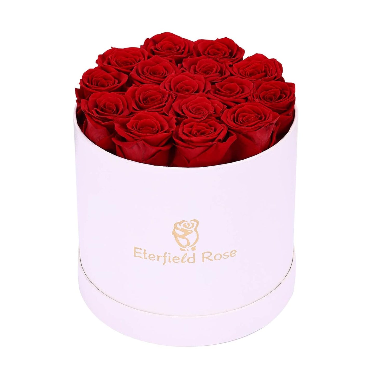 16-Piece Preserved Forever Rose Flowers (Valentines Day, Birthday)